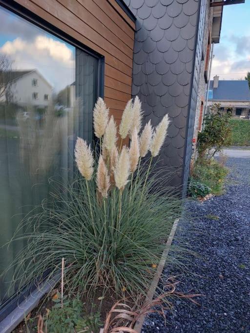 Le Reposoir Maison Spacieuse Avec Feu Au Bois Bertogne ภายนอก รูปภาพ